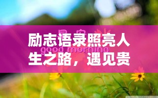 励志语录照亮人生之路，遇见贵人，共创辉煌未来