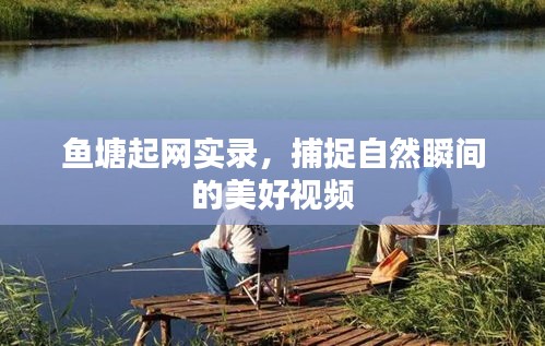 鱼塘起网实录，捕捉自然瞬间的美好视频