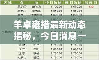 羊卓雍措最新动态揭秘，今日消息一网打尽！