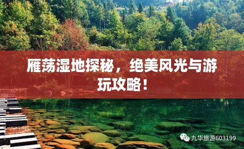 雁荡湿地探秘，绝美风光与游玩攻略！