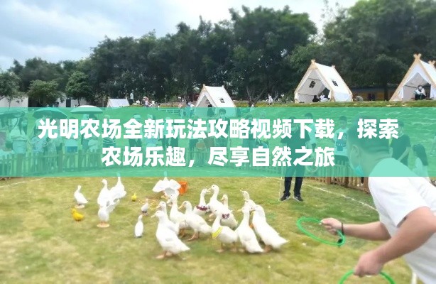 光明农场全新玩法攻略视频下载，探索农场乐趣，尽享自然之旅
