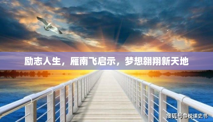 励志人生，雁南飞启示，梦想翱翔新天地