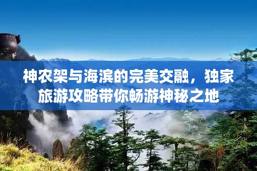 神农架与海滨的完美交融，独家旅游攻略带你畅游神秘之地