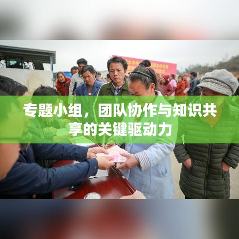 专题小组，团队协作与知识共享的关键驱动力