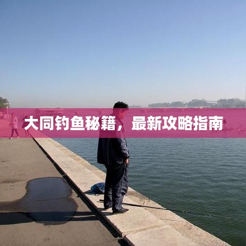 大同钓鱼秘籍，最新攻略指南