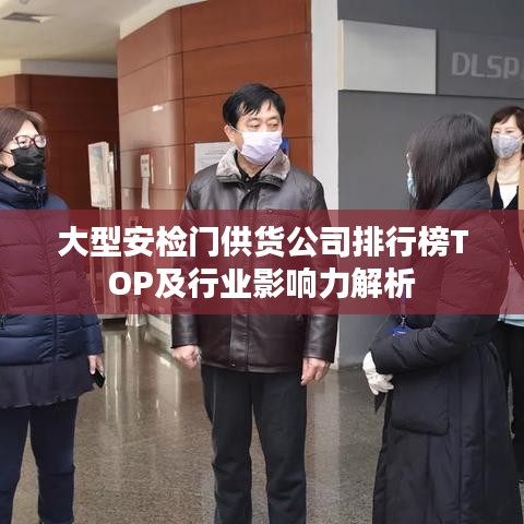 大型安检门供货公司排行榜TOP及行业影响力解析
