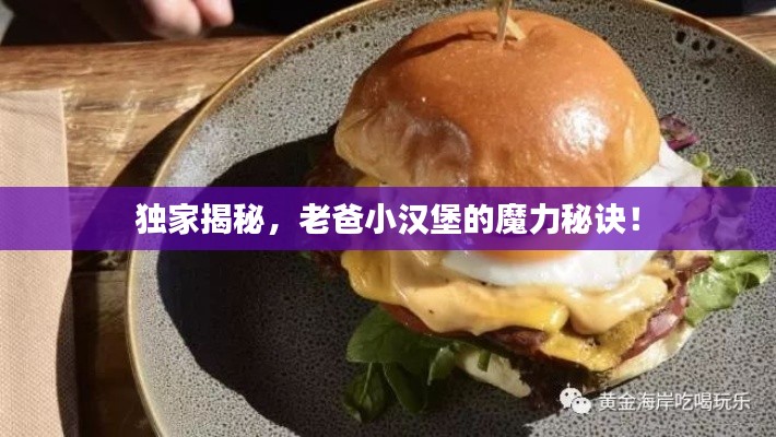 独家揭秘，老爸小汉堡的魔力秘诀！