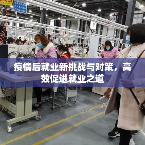 疫情后就业新挑战与对策，高效促进就业之道