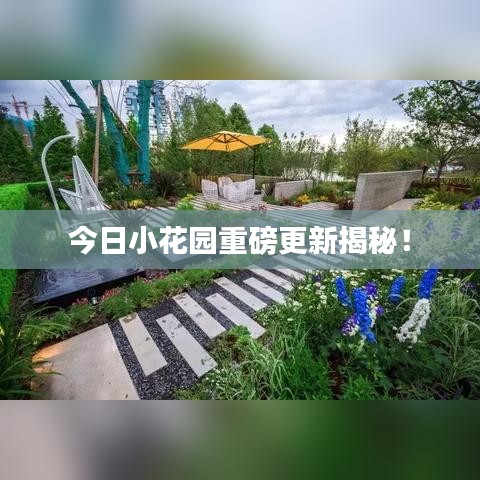 今日小花园重磅更新揭秘！
