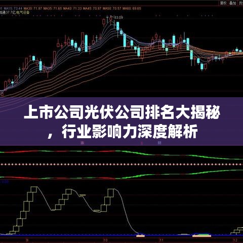 张睢阳齿