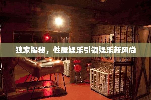 独家揭秘，性屋娱乐引领娱乐新风尚