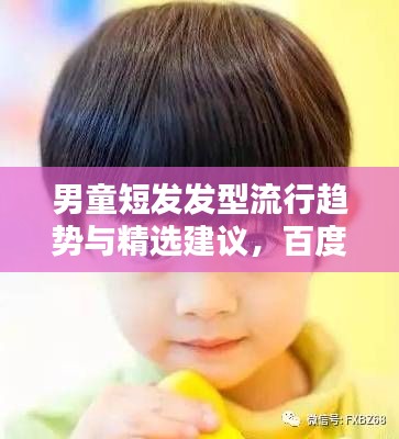 男童短发发型流行趋势与精选建议，百度热门推荐！