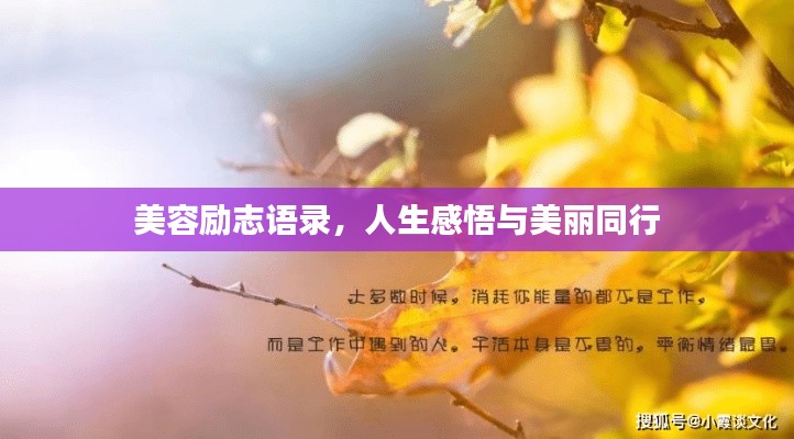 美容励志语录，人生感悟与美丽同行
