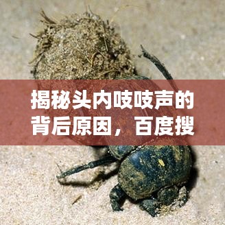 揭秘头内吱吱声的背后原因，百度搜索带你一探究竟！