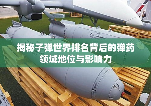 2025年5月29日 第4页