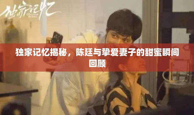 独家记忆揭秘，陈廷与挚爱妻子的甜蜜瞬间回顾