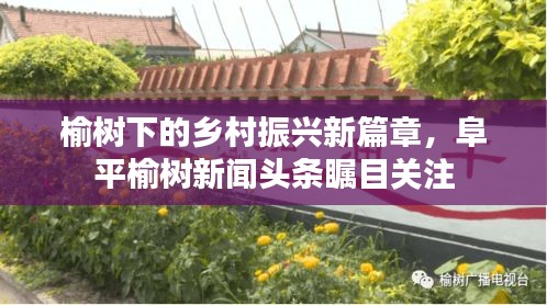 榆树下的乡村振兴新篇章，阜平榆树新闻头条瞩目关注