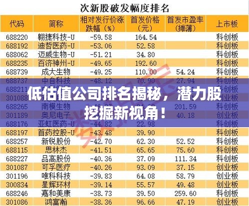 低估值公司排名揭秘，潜力股挖掘新视角！