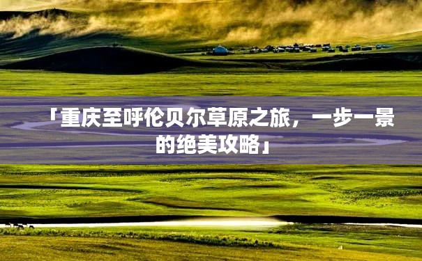 2025年6月2日 第4页