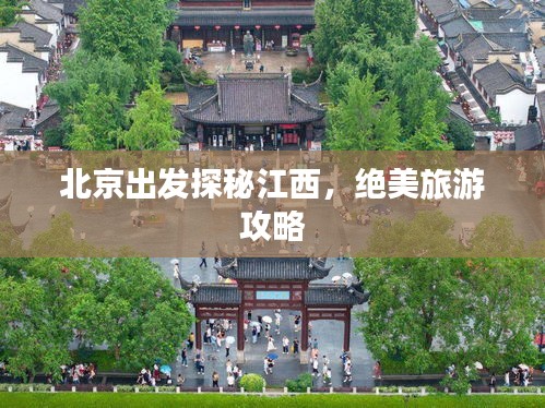 鸟入樊笼