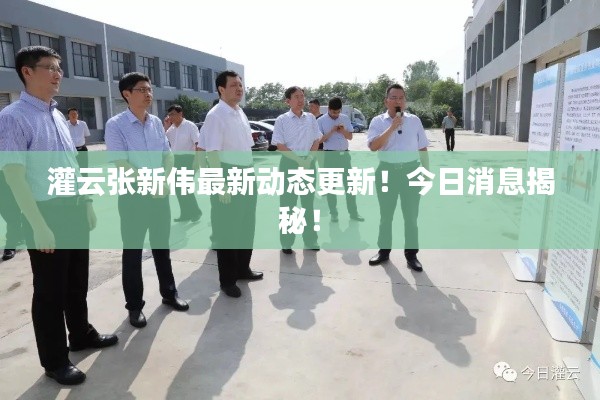 灌云张新伟最新动态更新！今日消息揭秘！