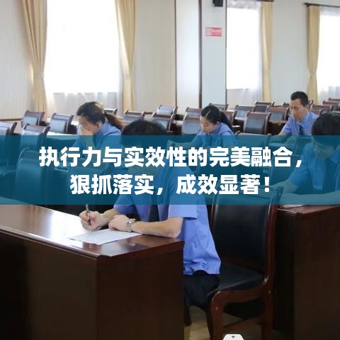 执行力与实效性的完美融合，狠抓落实，成效显著！