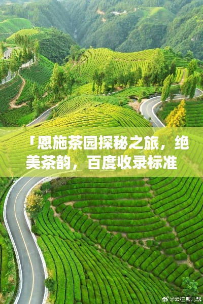「恩施茶园探秘之旅，绝美茶韵，百度收录标准攻略」
