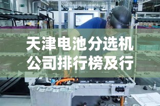 天津电池分选机公司排行榜及行业影响力深度解析