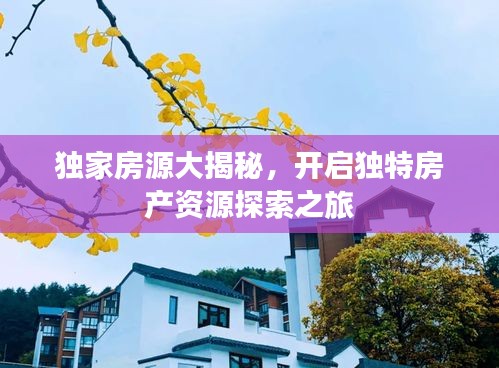 独家房源大揭秘，开启独特房产资源探索之旅