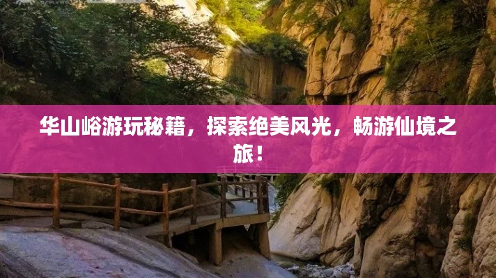 2025年6月4日 第3页