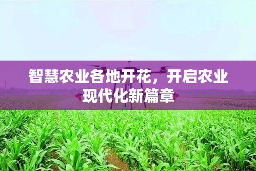 风驰电掣