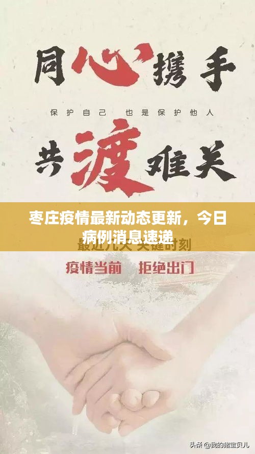 枣庄疫情最新动态更新，今日病例消息速递