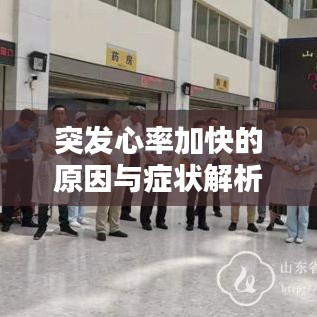 突发心率加快的原因与症状解析