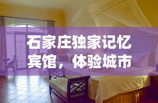 石家庄独家记忆宾馆，体验城市独特住宿风情，尽享别样之旅！