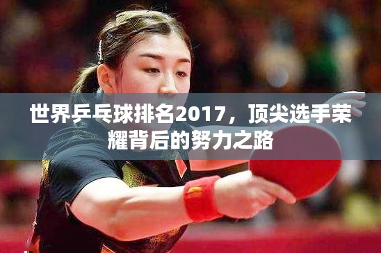 世界乒乓球排名2017，顶尖选手荣耀背后的努力之路