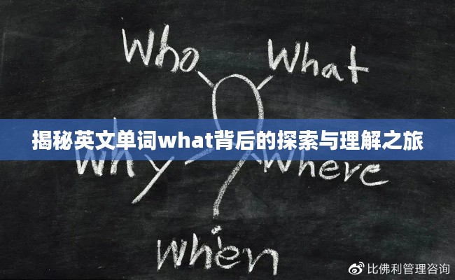 揭秘英文单词what背后的探索与理解之旅