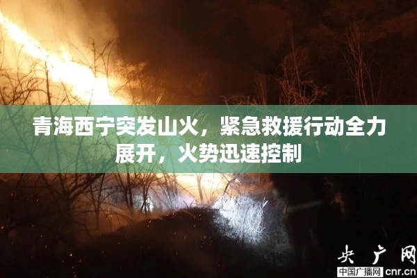 青海西宁突发山火，紧急救援行动全力展开，火势迅速控制