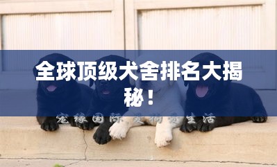 全球顶级犬舍排名大揭秘！