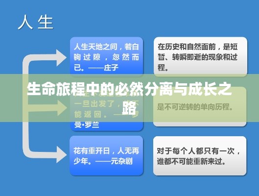 生命旅程中的必然分离与成长之路
