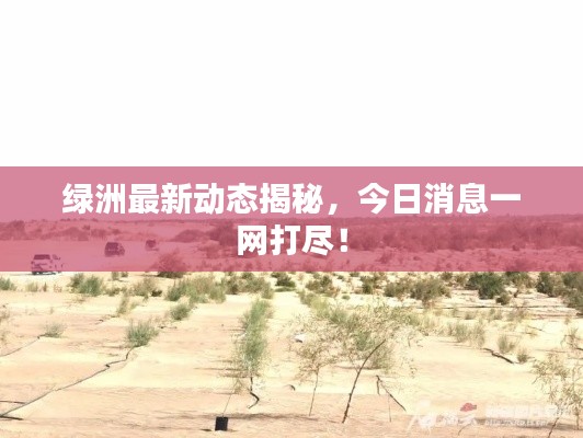 绿洲最新动态揭秘，今日消息一网打尽！