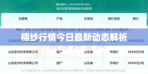 棉纱行情今日最新动态解析