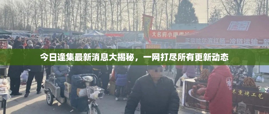 今日逢集最新消息大揭秘，一网打尽所有更新动态