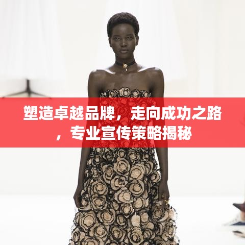 塑造卓越品牌，走向成功之路，专业宣传策略揭秘