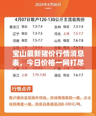 宝山最新猪价行情消息表，今日价格一网打尽！
