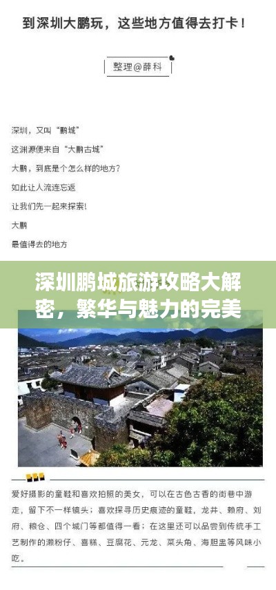 深圳鹏城旅游攻略大解密，繁华与魅力的完美融合！