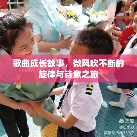 歌曲成长故事，微风吹不断的旋律与诗意之旅