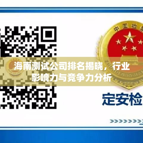 海南测试公司排名揭晓，行业影响力与竞争力分析