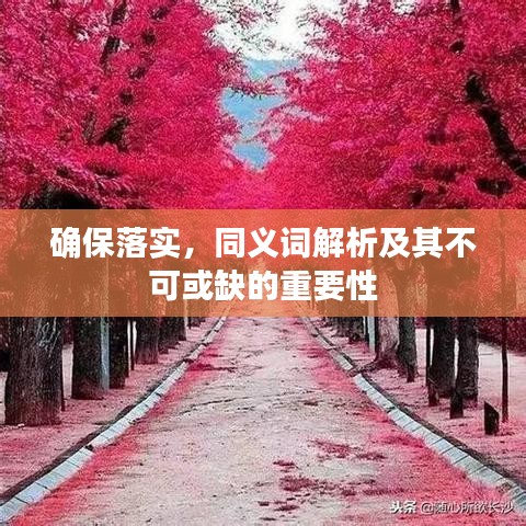 确保落实，同义词解析及其不可或缺的重要性