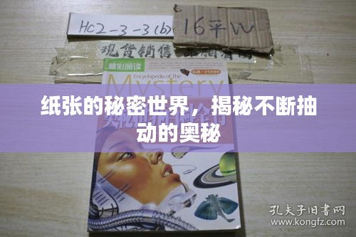 纸张的秘密世界，揭秘不断抽动的奥秘