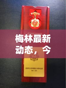 梅林最新动态，今日新闻速递